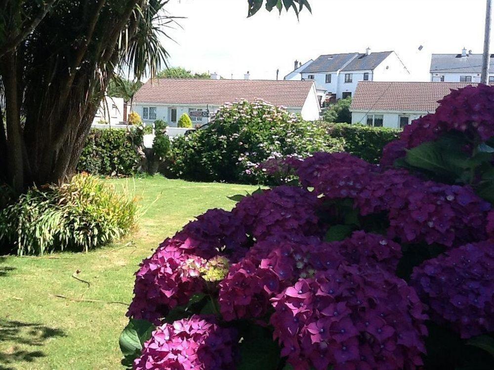 The Old Cable Historic House & Seafood Restaurant Hotel Waterville Buitenkant foto