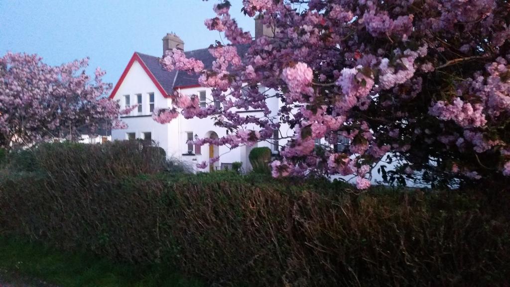 The Old Cable Historic House & Seafood Restaurant Hotel Waterville Buitenkant foto